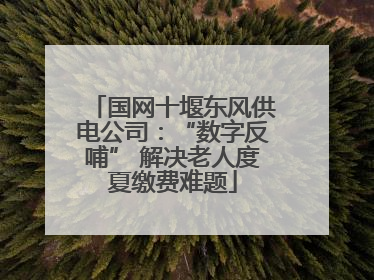 国网十堰东风供电公司：“数字反哺” 解决老人度夏缴费难题