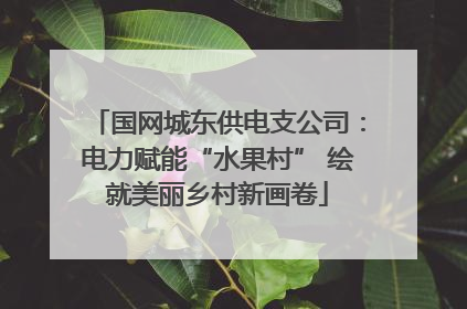 国网城东供电支公司：电力赋能“水果村” 绘就美丽乡村新画卷
