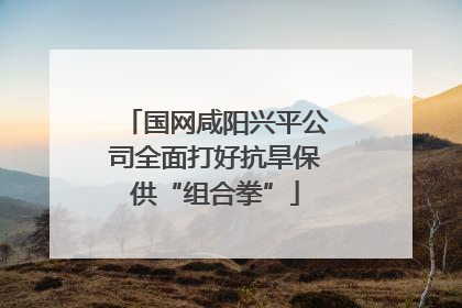 国网咸阳兴平公司全面打好抗旱保供“组合拳”