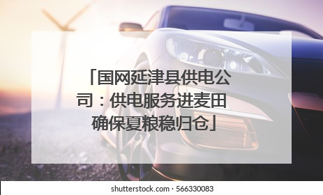 国网延津县供电公司：供电服务进麦田 确保夏粮稳归仓