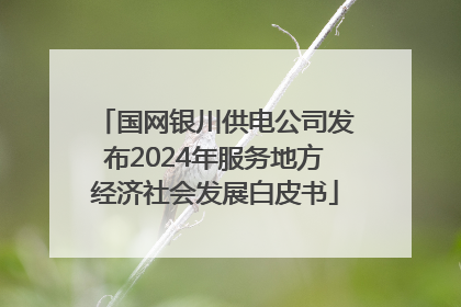 国网银川供电公司发布2024年服务地方经济社会发展白皮书