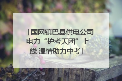 国网镇巴县供电公司 电力“护考天团”上线 温情助力中考