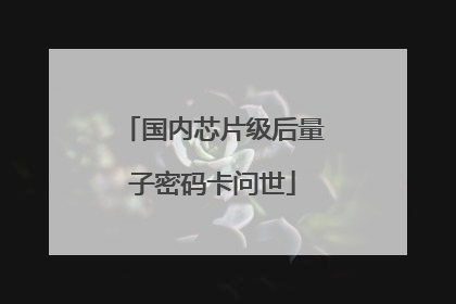 国内芯片级后量子密码卡问世