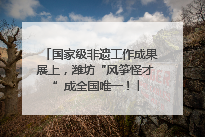 国家级非遗工作成果展上，潍坊“风筝怪才”成全国唯一！