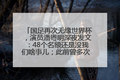 国足再次无缘世界杯，演员潘粤明深夜发文：48个名额还是没我们啥事儿；此前曾多次为国足发声