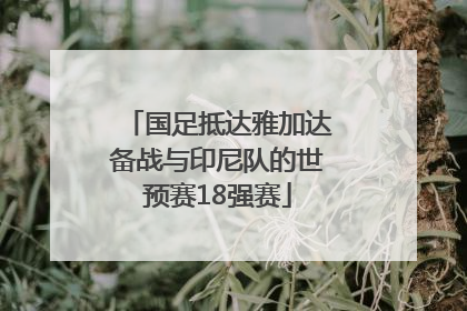 国足抵达雅加达备战与印尼队的世预赛18强赛