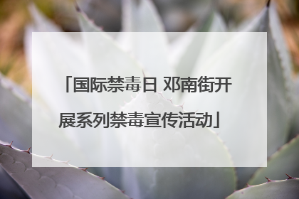 国际禁毒日 邓南街开展系列禁毒宣传活动