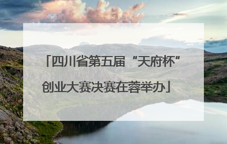 四川省第五届“天府杯”创业大赛决赛在蓉举办