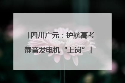四川广元：护航高考 静音发电机“上岗”