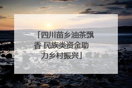 四川苗乡油茶飘香 民族类资金助力乡村振兴