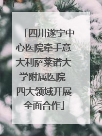 四川遂宁中心医院牵手意大利萨莱诺大学附属医院 四大领域开展全面合作