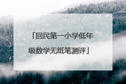 回民第一小学低年级数学无纸笔测评