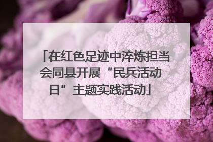 在红色足迹中淬炼担当 会同县开展“民兵活动日”主题实践活动