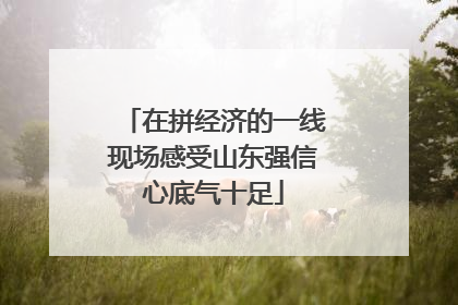 在拼经济的一线现场感受山东强信心底气十足
