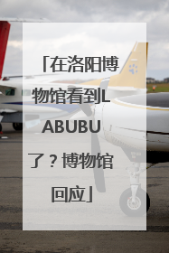 在洛阳博物馆看到LABUBU了？博物馆回应