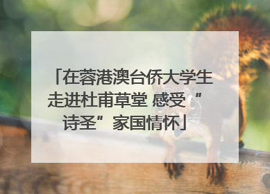在蓉港澳台侨大学生走进杜甫草堂 感受“诗圣”家国情怀