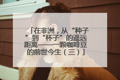 在非洲，从“种子”到“杯子”的遥远距离——一颗咖啡豆的前世今生（三）