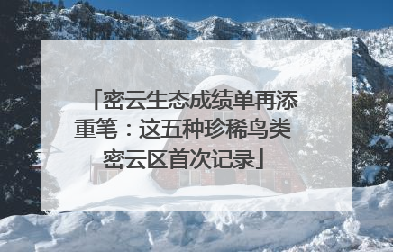 密云生态成绩单再添重笔：这五种珍稀鸟类密云区首次记录