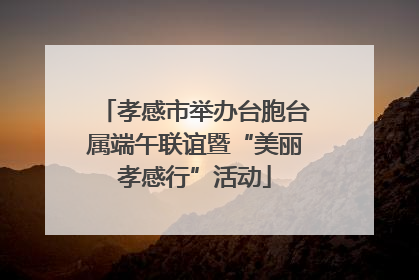 孝感市举办台胞台属端午联谊暨“美丽孝感行”活动