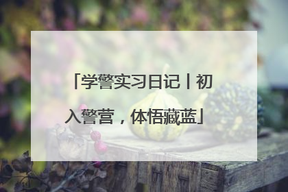 学警实习日记丨初入警营，体悟藏蓝