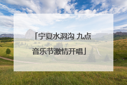 宁夏水洞沟 九点音乐节激情开唱