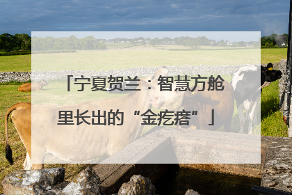 宁夏贺兰：智慧方舱里长出的“金疙瘩”