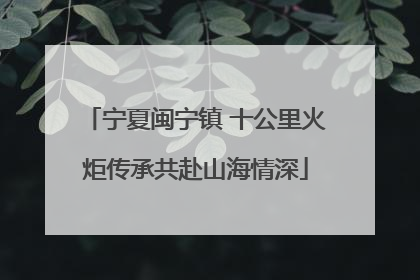 宁夏闽宁镇 十公里火炬传承共赴山海情深
