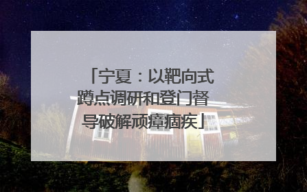 宁夏：以靶向式蹲点调研和登门督导破解顽瘴痼疾
