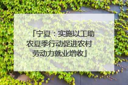 宁夏：实施以工助农夏季行动促进农村劳动力就业增收