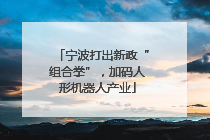 宁波打出新政“组合拳”，加码人形机器人产业