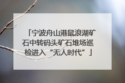 宁波舟山港鼠浪湖矿石中转码头矿石堆场巡检进入“无人时代”