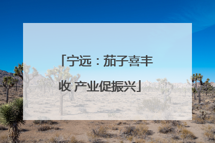 宁远：茄子喜丰收 产业促振兴