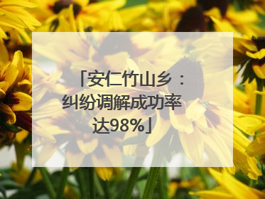 安仁竹山乡：纠纷调解成功率达98%