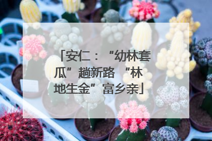 安仁：“幼林套瓜”趟新路 “林地生金”富乡亲