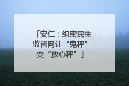 安仁：织密民生监督网让“鬼秤”变“放心秤”