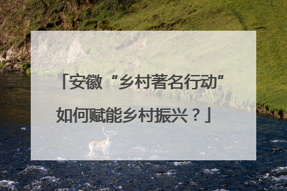 安徽“乡村著名行动”如何赋能乡村振兴？