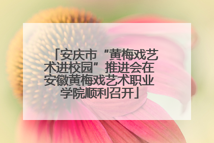 安庆市“黄梅戏艺术进校园”推进会在安徽黄梅戏艺术职业学院顺利召开