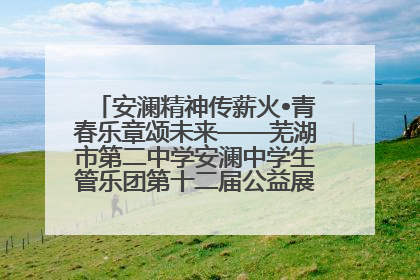 安澜精神传薪火•青春乐章颂未来——芜湖市第二中学安澜中学生管乐团第十二届公益展演圆满举行