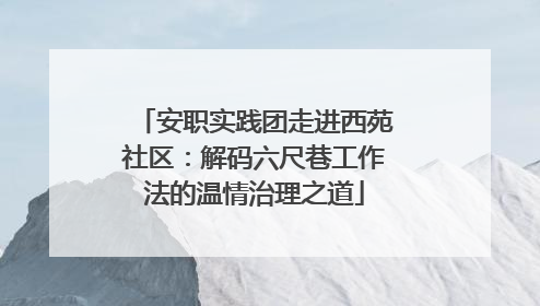 安职实践团走进西苑社区：解码六尺巷工作法的温情治理之道