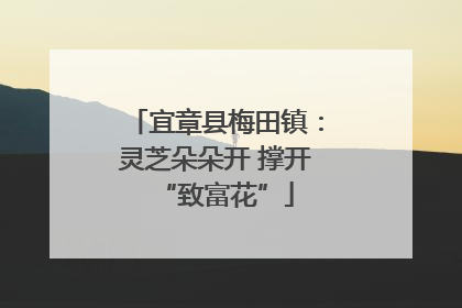 宜章县梅田镇：灵芝朵朵开 撑开“致富花”