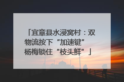 宜章县水浸窝村：双物流按下“加速键” 杨梅锁住“枝头鲜”