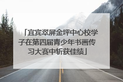 宜宾翠屏金坪中心校学子在第四届青少年书画传习大赛中斩获佳绩