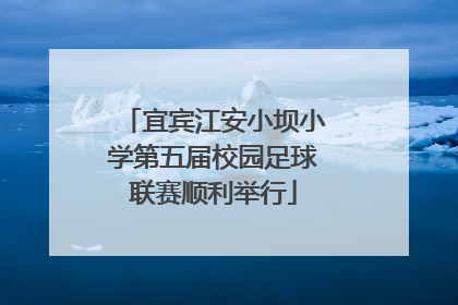 宜宾江安小坝小学第五届校园足球联赛顺利举行