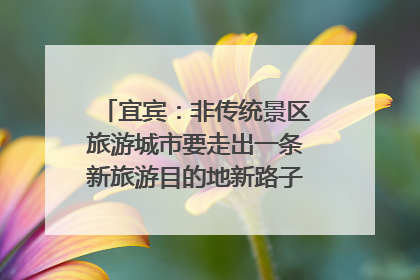 宜宾：非传统景区旅游城市要走出一条新旅游目的地新路子｜话锦绣·说安逸