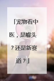 宠物看中医，是噱头？还是新赛道？
