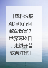 塑料垃圾对海龟有何致命伤害？世界环境日，走进开普敦海洋馆