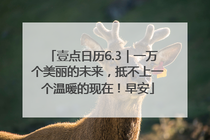 壹点日历6.3｜一万个美丽的未来，抵不上一个温暖的现在！早安