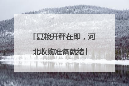 夏粮开秤在即，河北收购准备就绪