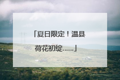 夏日限定！温县荷花初绽……