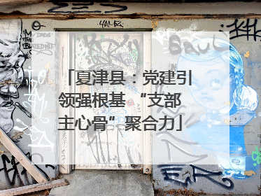 夏津县：党建引领强根基 “支部主心骨”聚合力